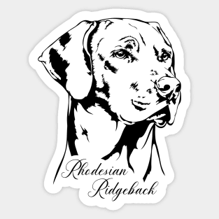 Rhodesian Ridgeback dog lover portrait Sticker